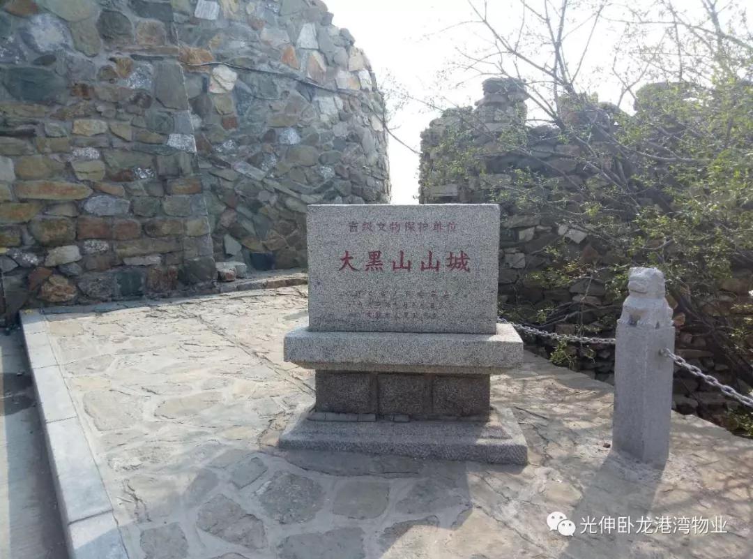 九五至尊VI-老品牌值得信任!