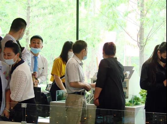 九五至尊VI-老品牌值得信任!