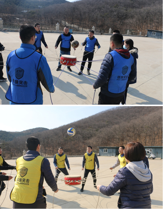 九五至尊VI-老品牌值得信任!