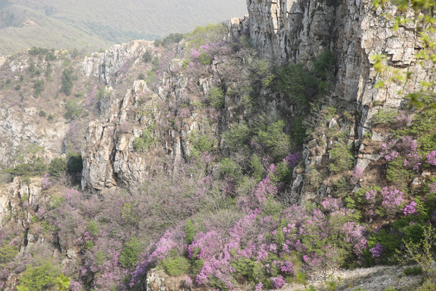 九五至尊VI-老品牌值得信任!