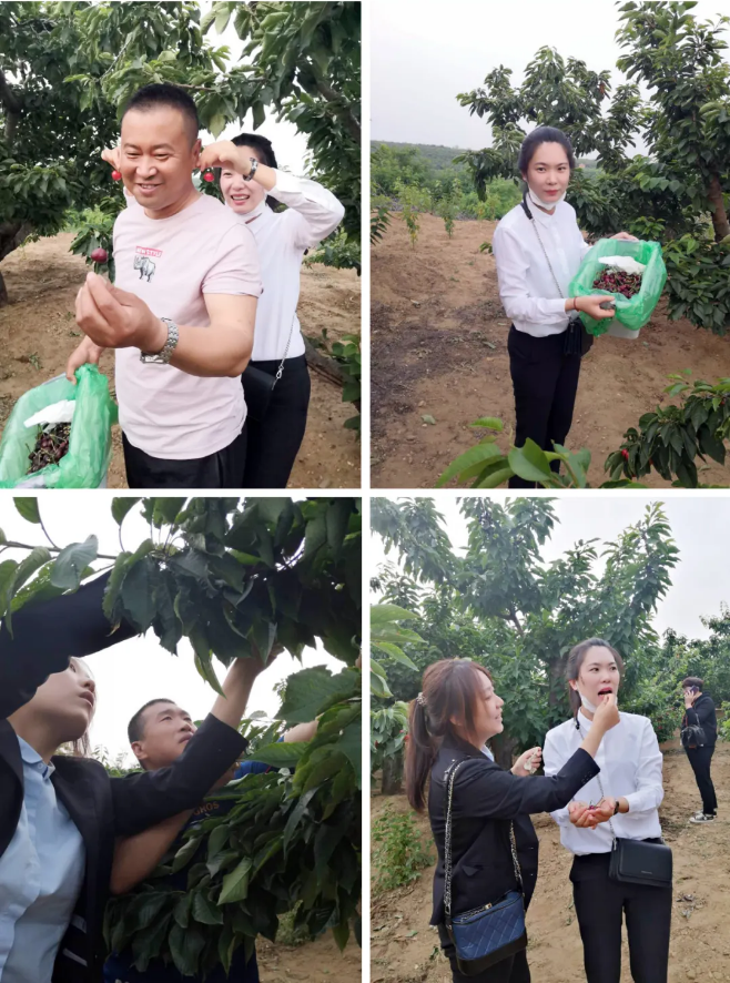 九五至尊VI-老品牌值得信任!