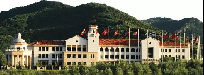 九五至尊VI-老品牌值得信任!