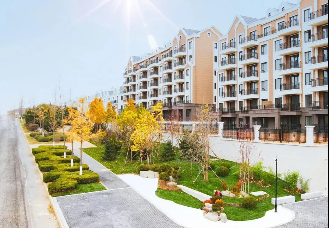 九五至尊VI-老品牌值得信任!