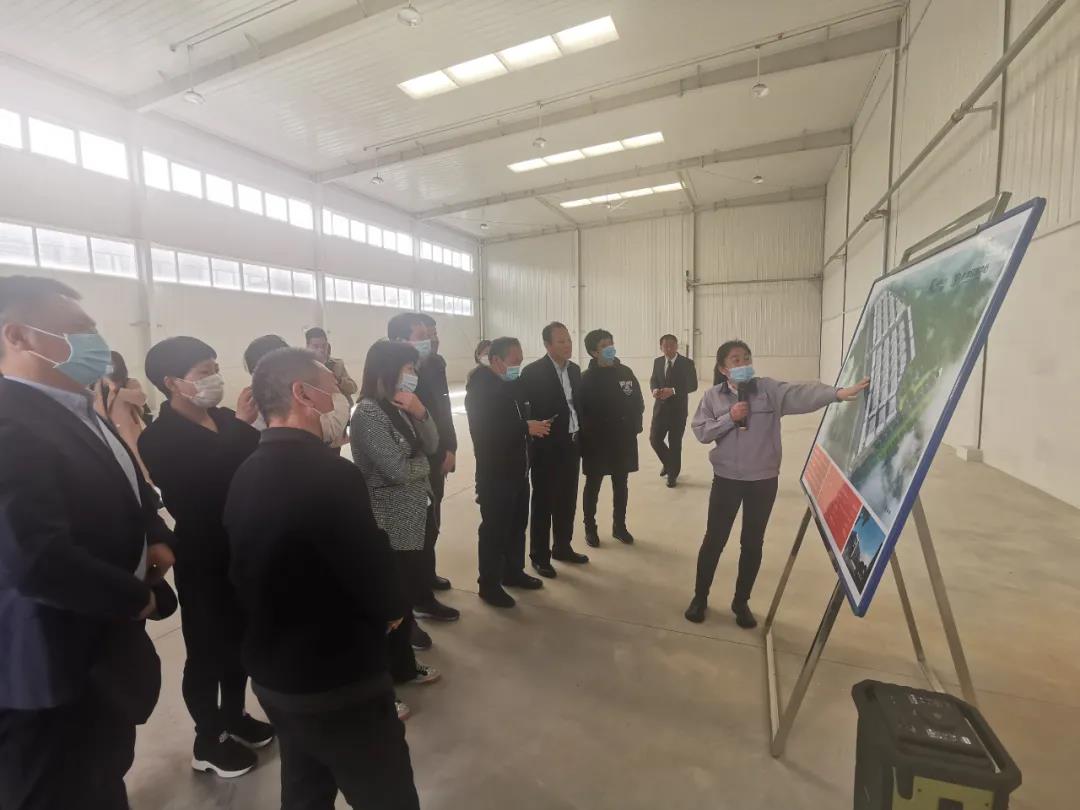 九五至尊VI-老品牌值得信任!