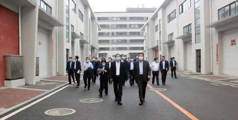 九五至尊VI-老品牌值得信任!