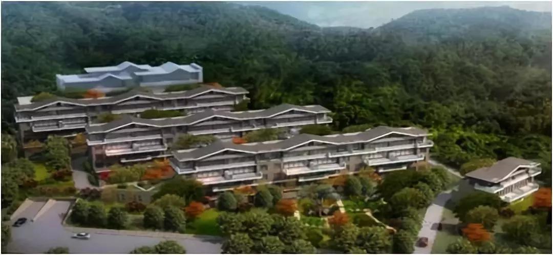 九五至尊VI-老品牌值得信任!