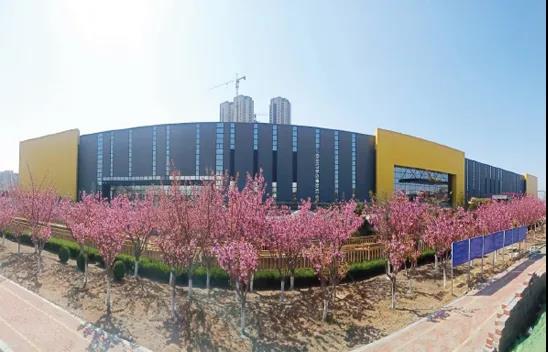 九五至尊VI-老品牌值得信任!